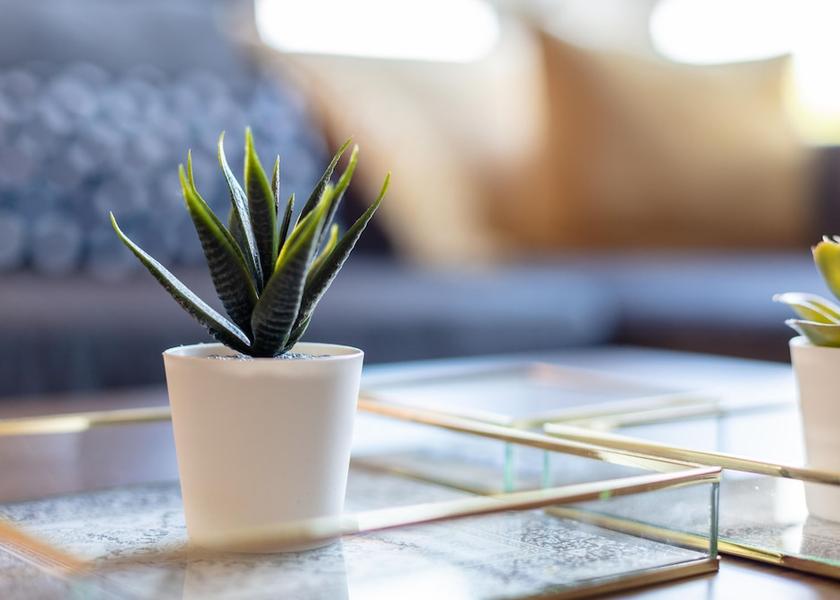 Scotland Kilmarnock Living Area