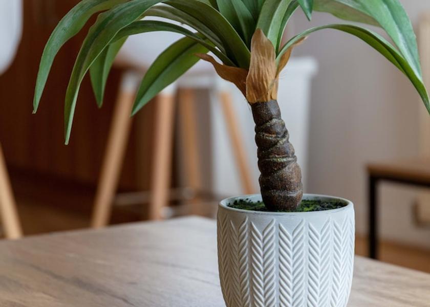 Scotland Kilmarnock Living Area