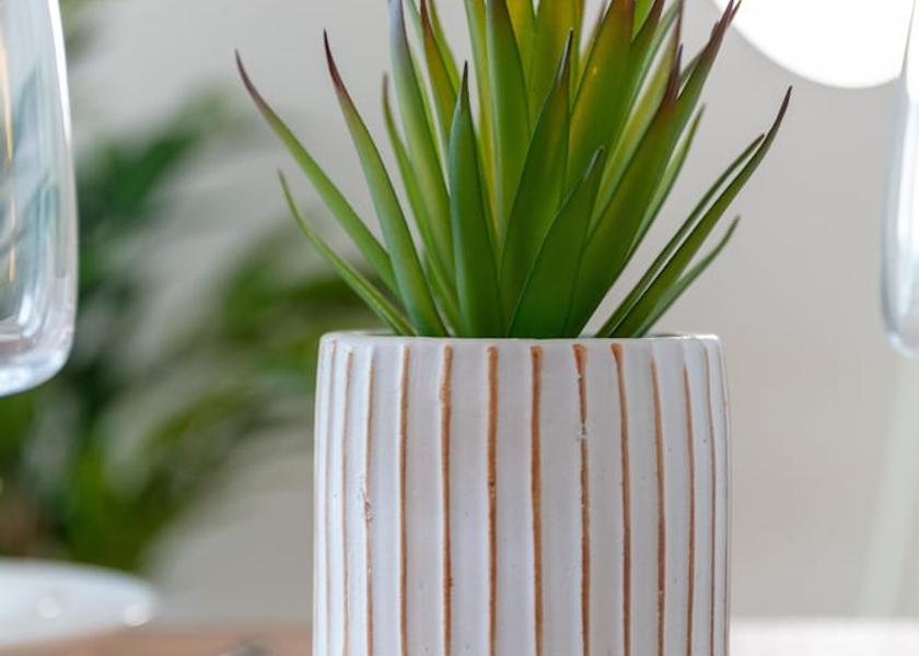 Scotland Kilmarnock Kitchen