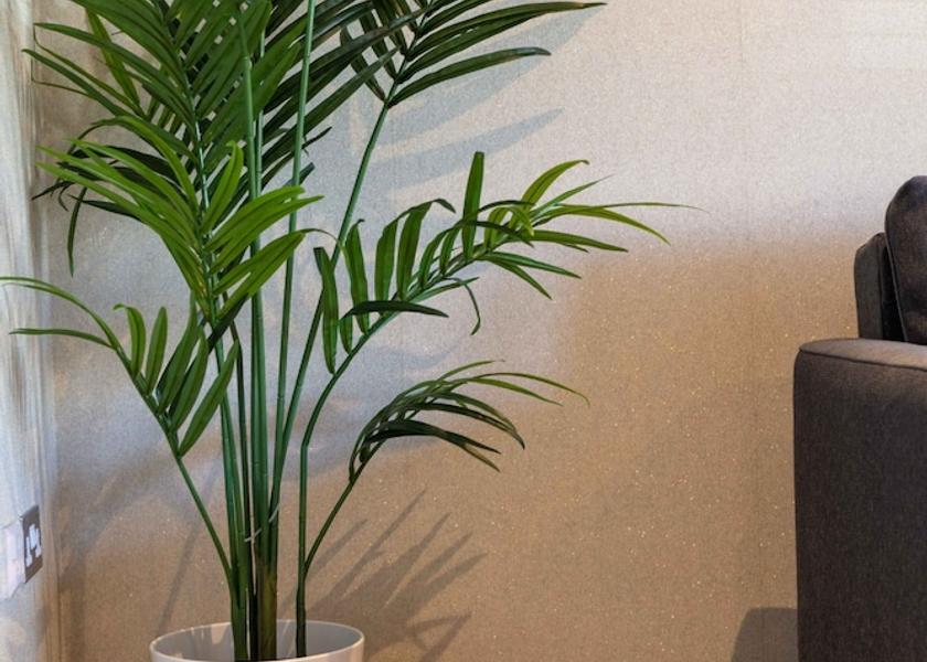 Scotland Kilmarnock Interior Entrance