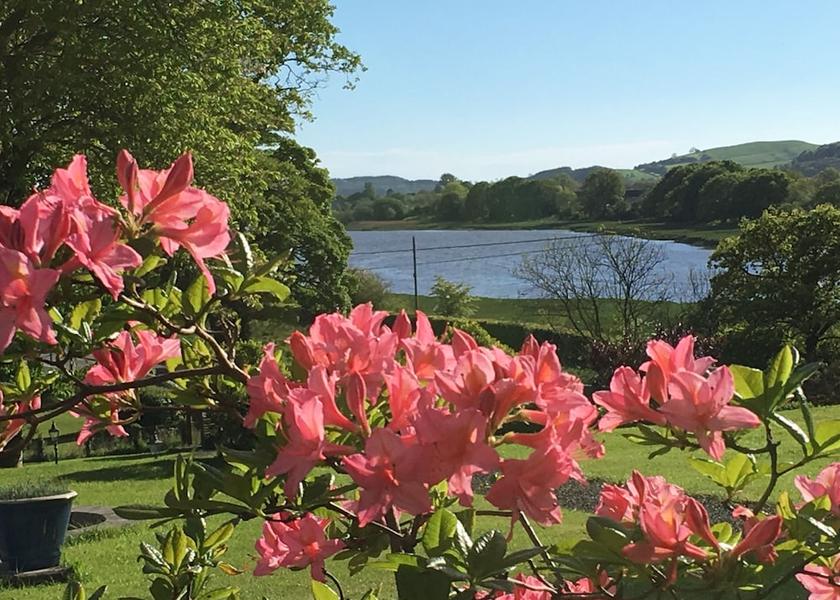 Scotland Kirkcudbright View from Property