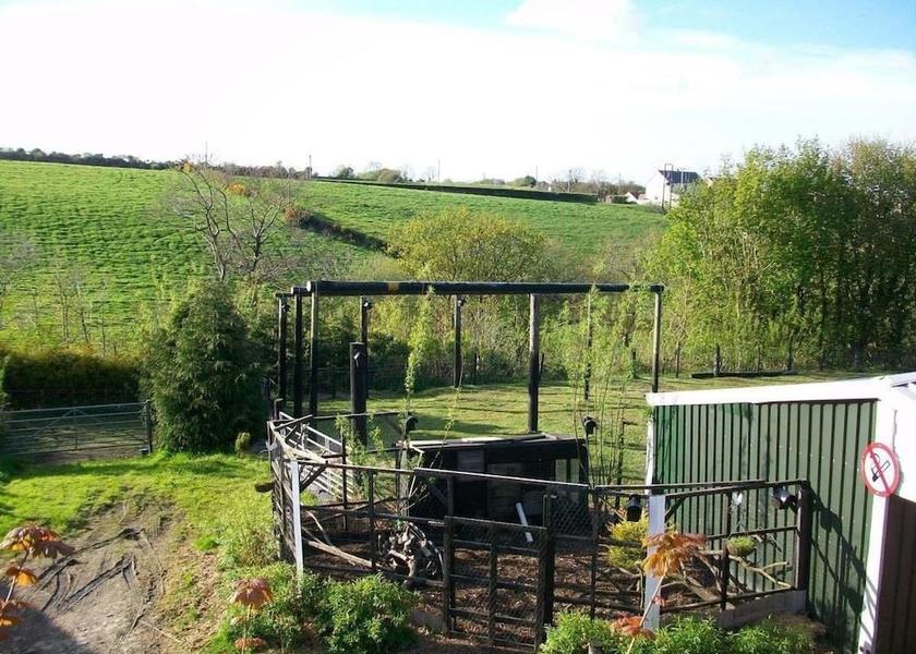 Wales Llanelli Garden