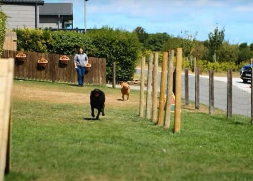 England Padstow Exterior Detail