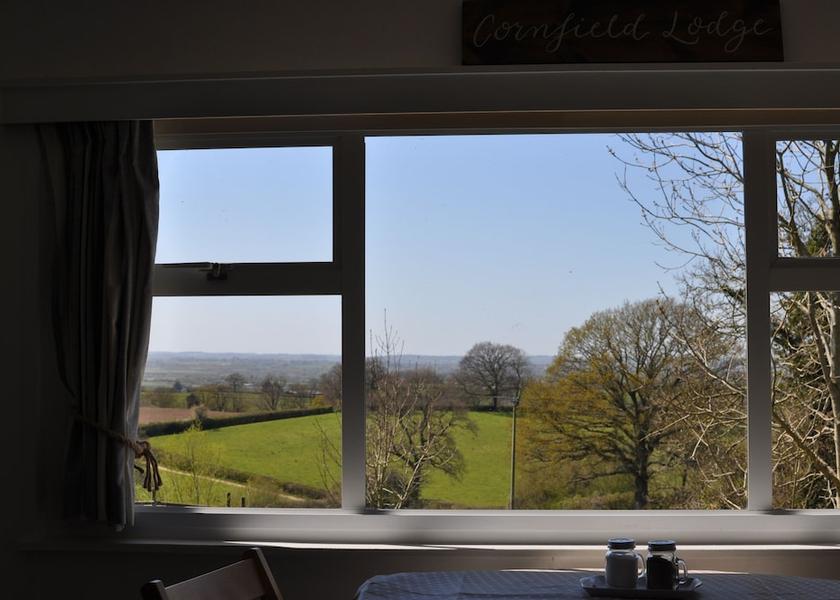 England Shaftesbury View from Property