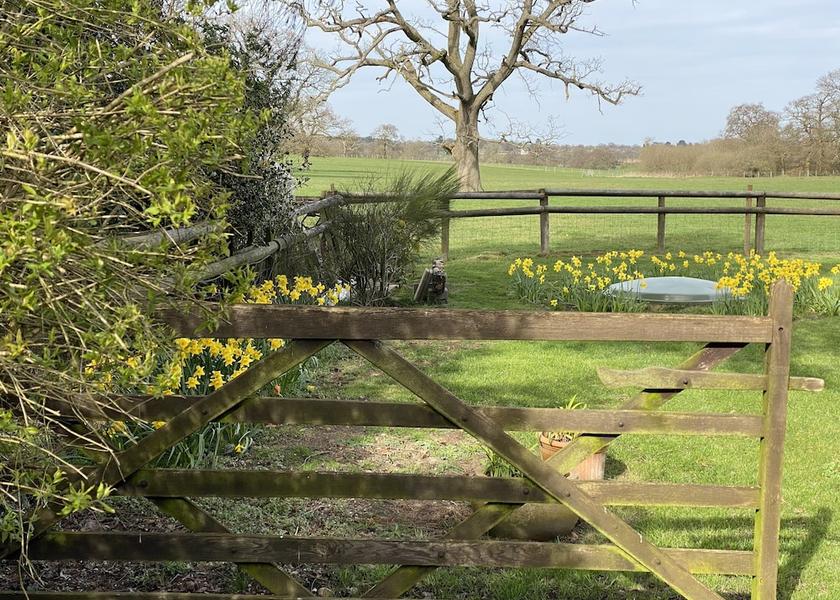 England Solihull View From Room