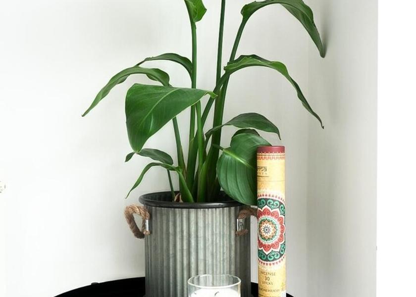 England Solihull Living Area