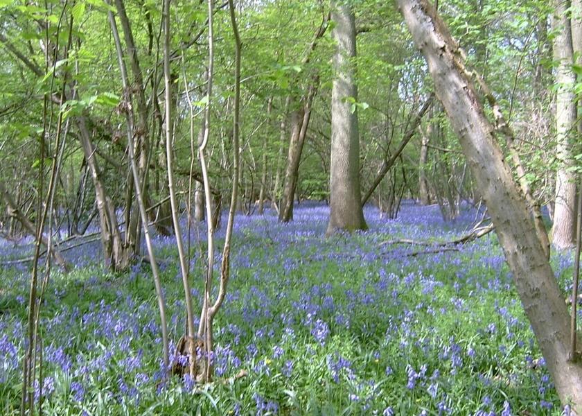 England Tonbridge View from Property