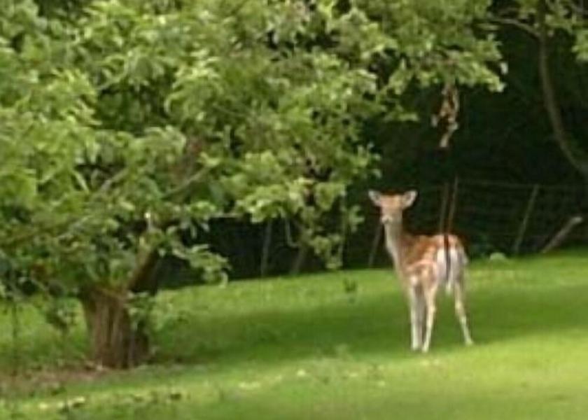 England Tonbridge View from Property