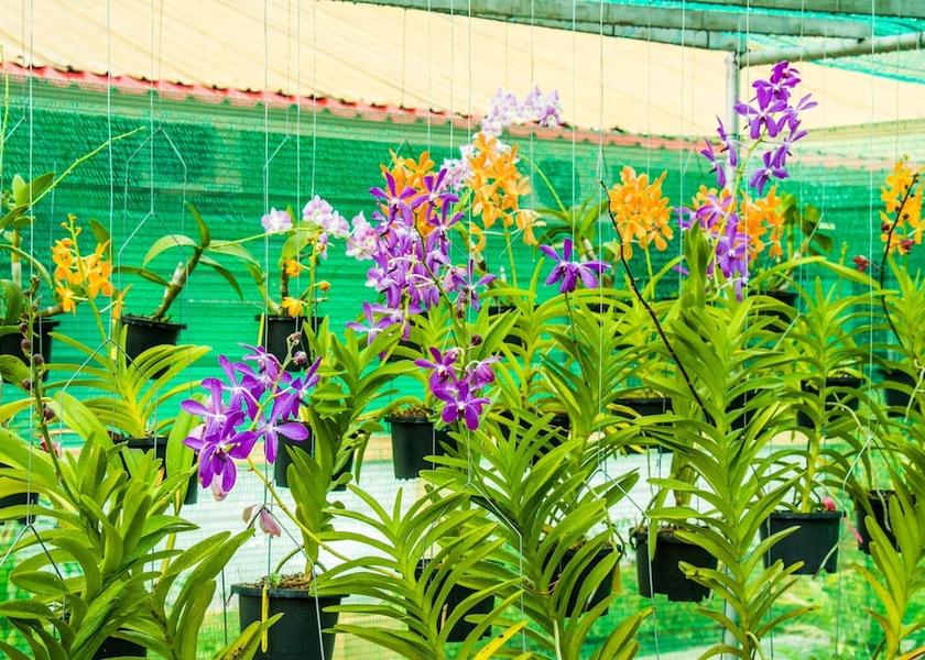 Kedah Langkawi Exterior Detail