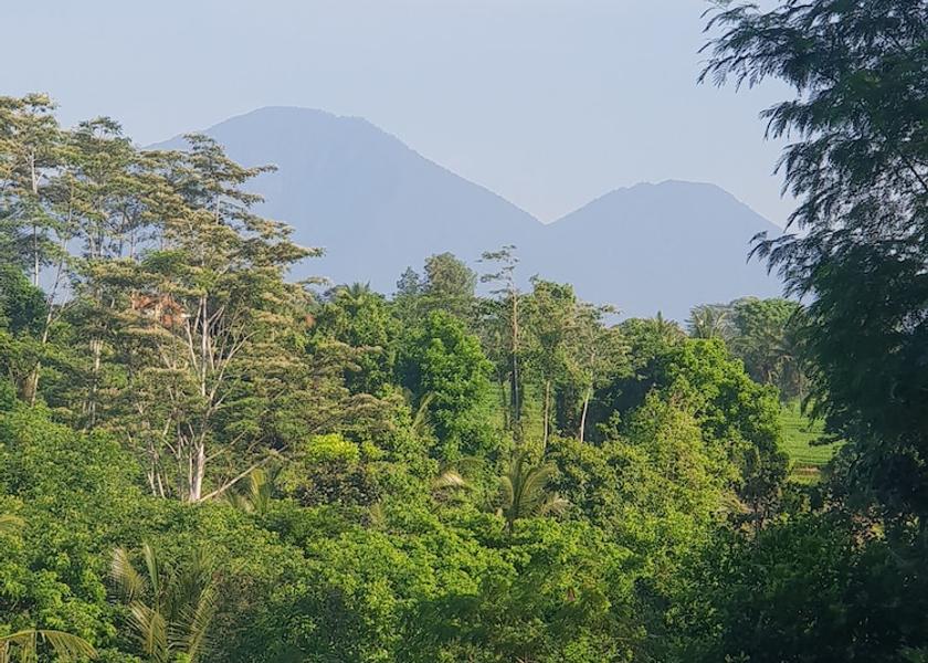 Bali Tabanan View from Property