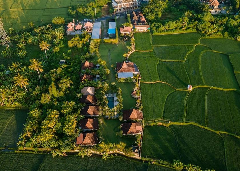 Bali Ubud Exterior Detail