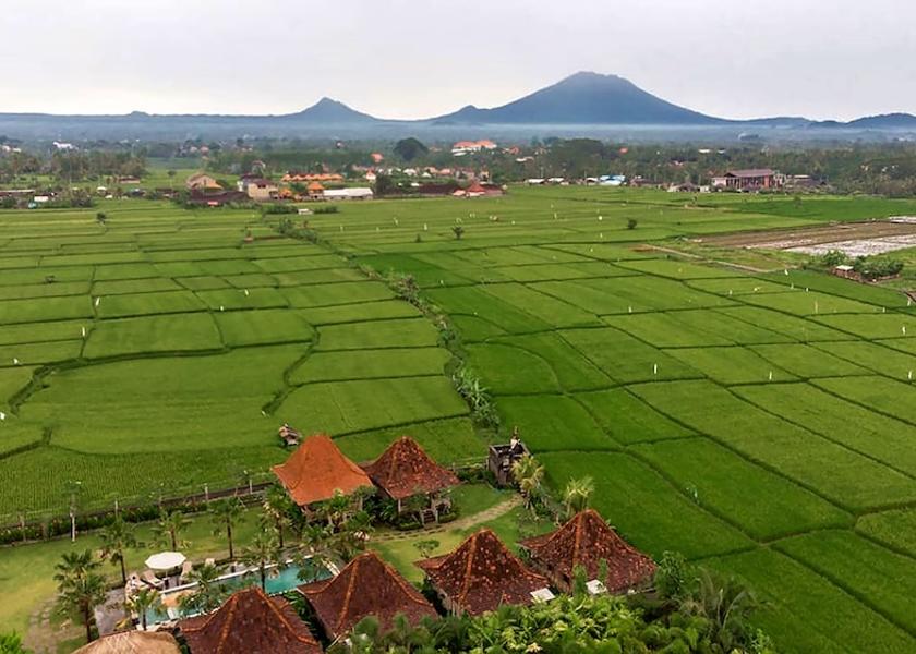 Bali Ubud Exterior Detail