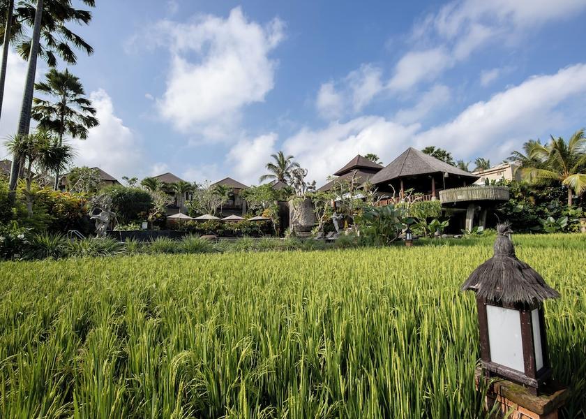 Bali Ubud Land View from Property