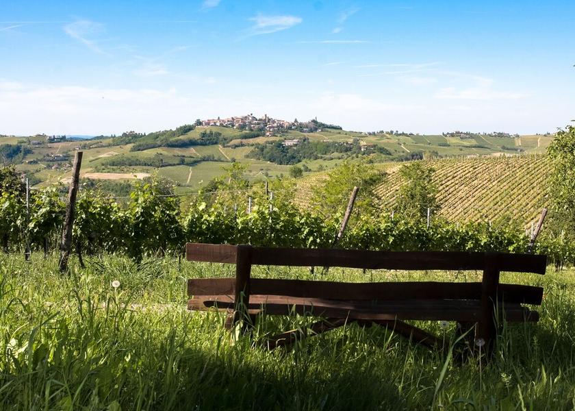 Piedmont Acqui Terme Winery