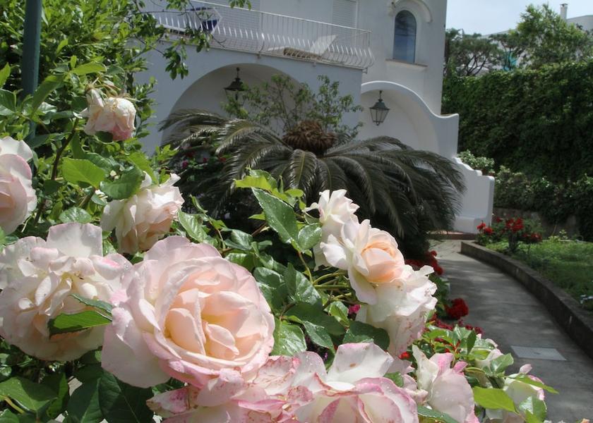 Campania Anacapri Garden