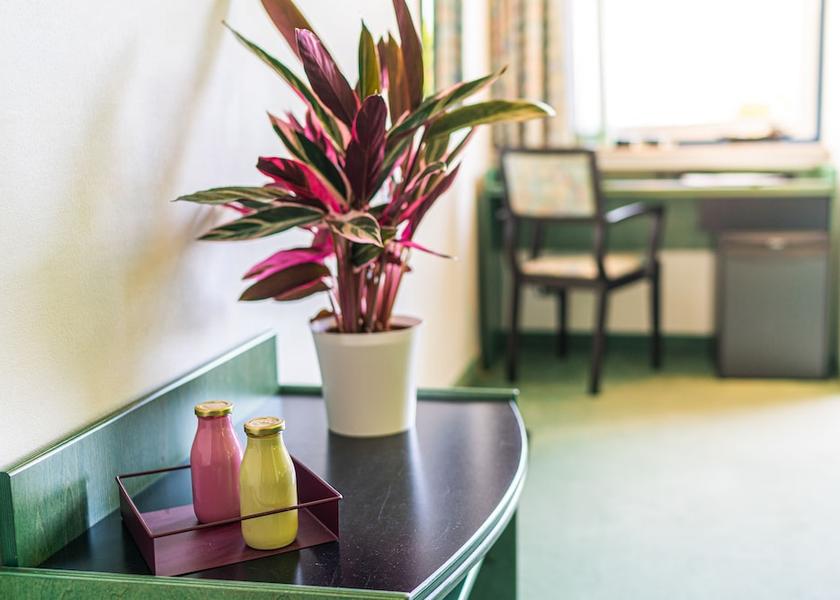 Friuli Venezia Giulia Lignano Sabbiadoro Room