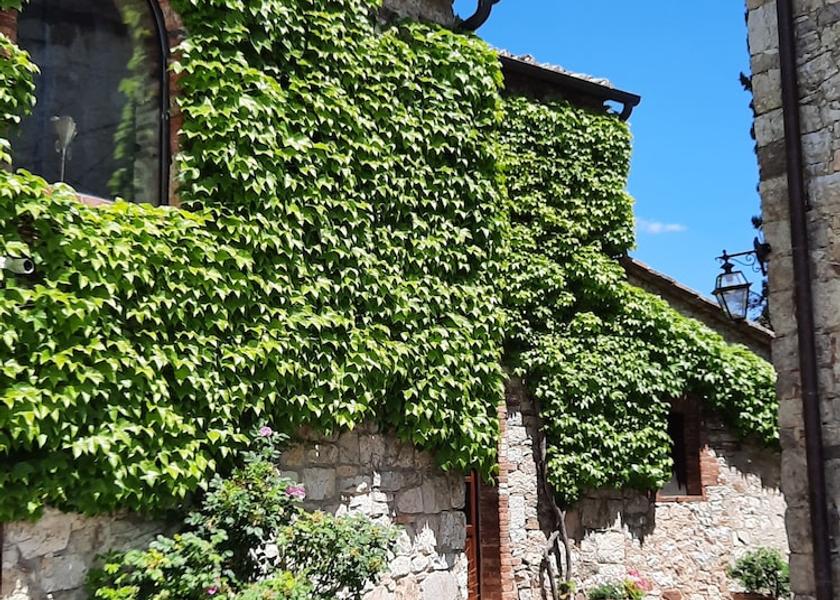 Tuscany Radda in Chianti Outdoor Dining
