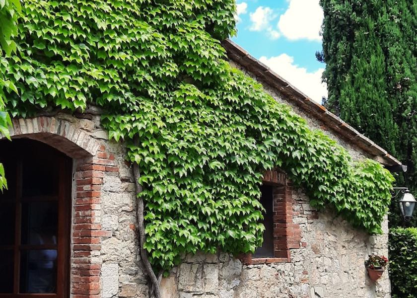 Tuscany Radda in Chianti Primary image
