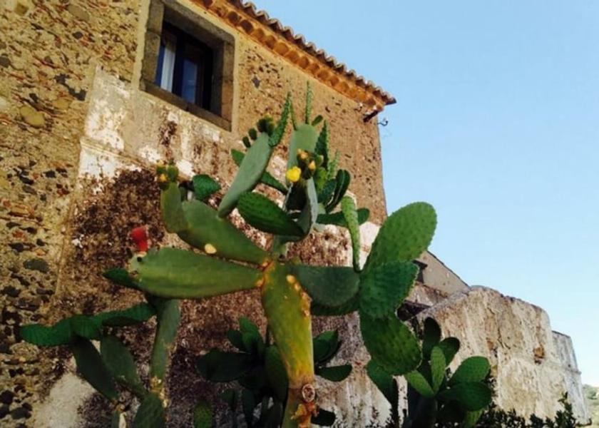 Sicily Castiglione Di Sicilia Exterior Detail