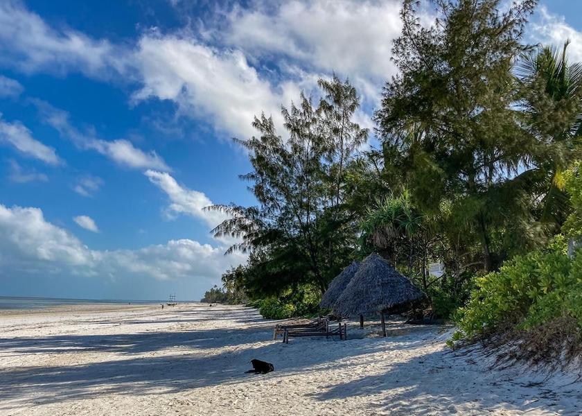 Unguja Kusini Region Bwejuu Beach