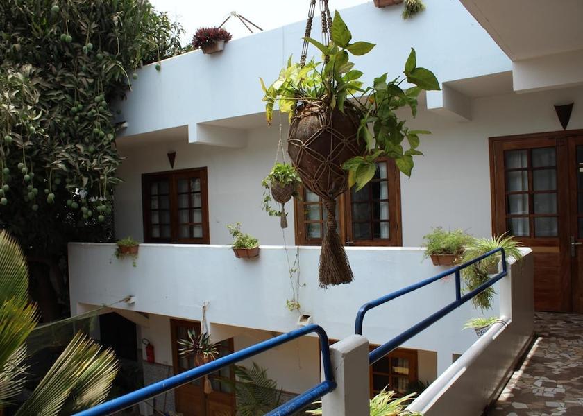  Dakar Exterior Detail