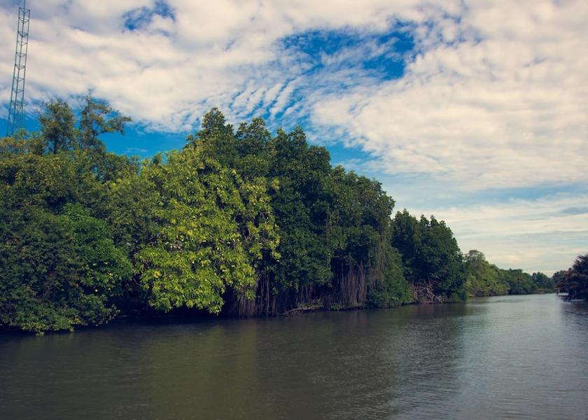 Puttalam District Waikkal Exterior Detail