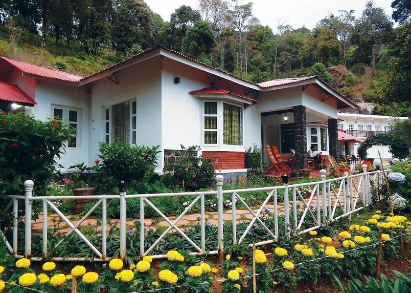 Kerala Munnar Primary image