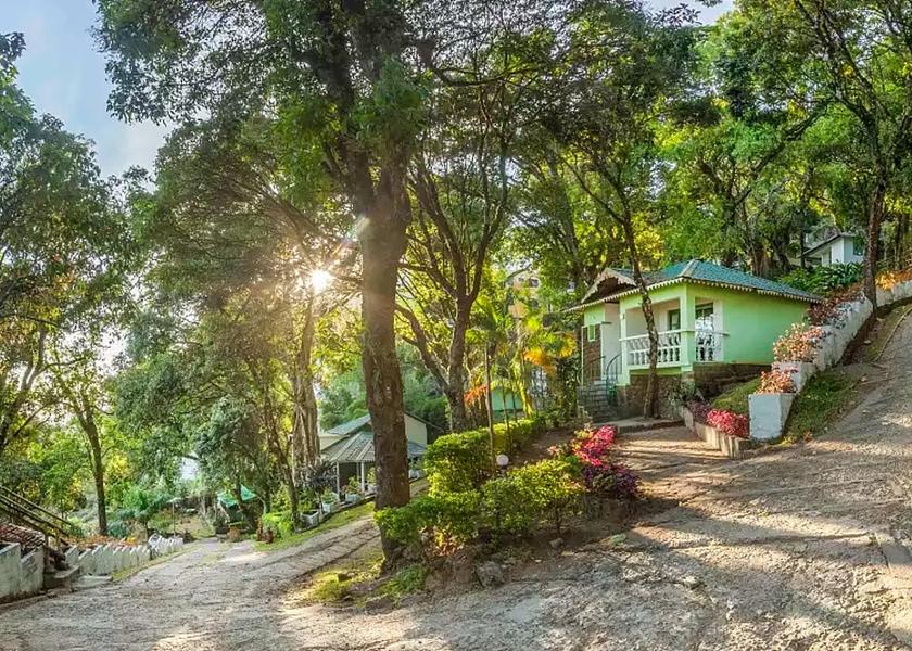 Kerala Munnar Outdoors