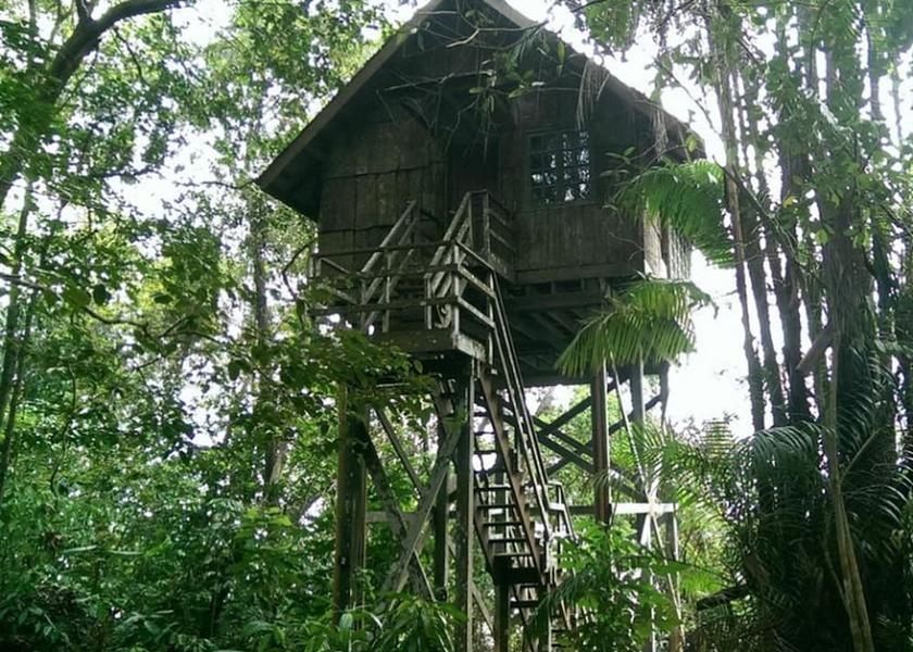 Sarawak Kuching View from Property