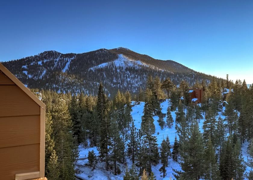 Nevada Stateline Amenity