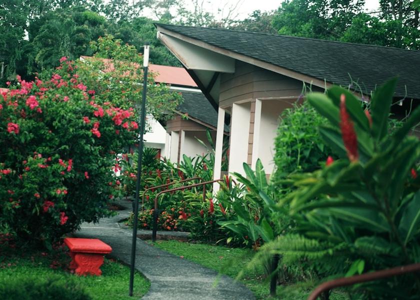 Alajuela Province La Fortuna Terrace