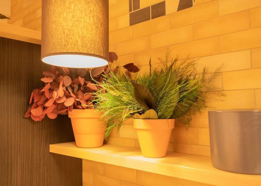 Hauts-de-France Lille Amenity