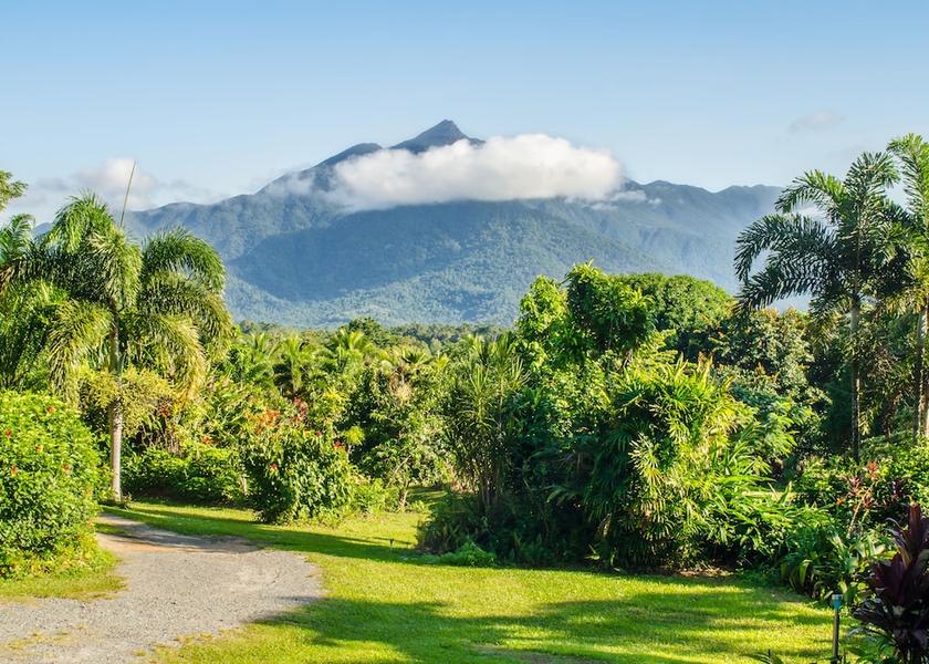 Queensland Cow Bay View from Property