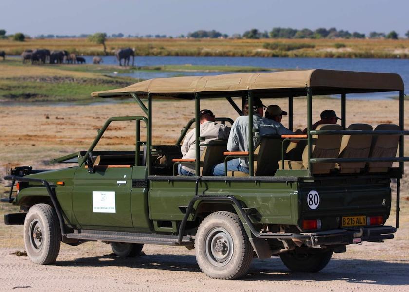 Chobe Kasane Safari