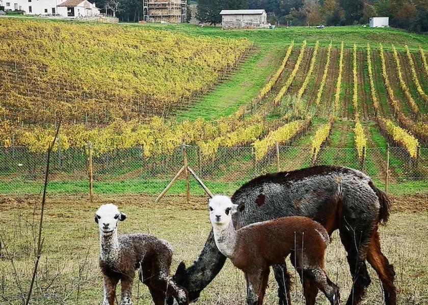 Tuscany Lastra a Signa Exterior Detail
