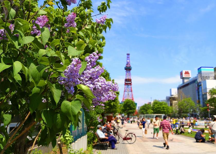 Hokkaido Sapporo City View from Property
