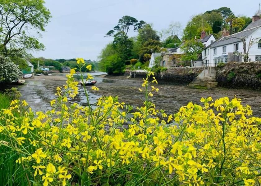England Helston Amenity