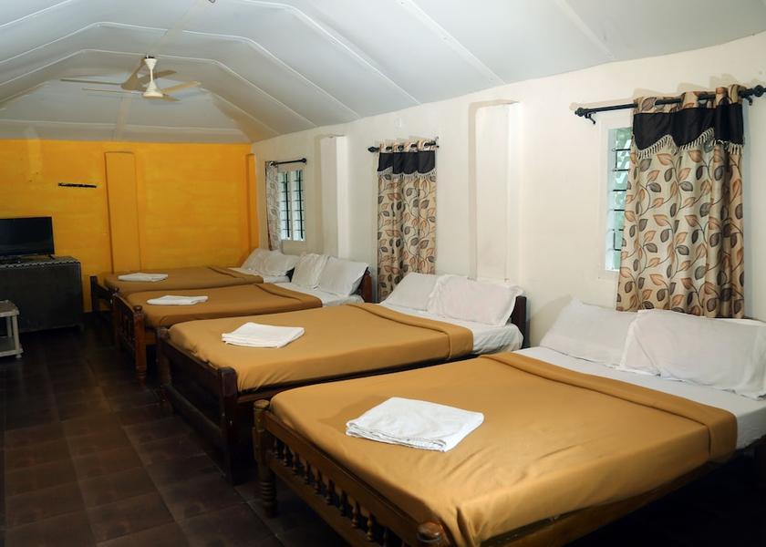 Tamil Nadu Masinagudi Room