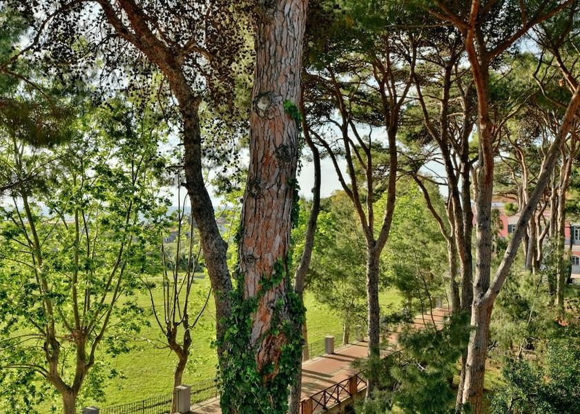 Campania Castellabate View from Property