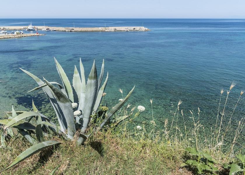 Campania Castellabate Land View from Property