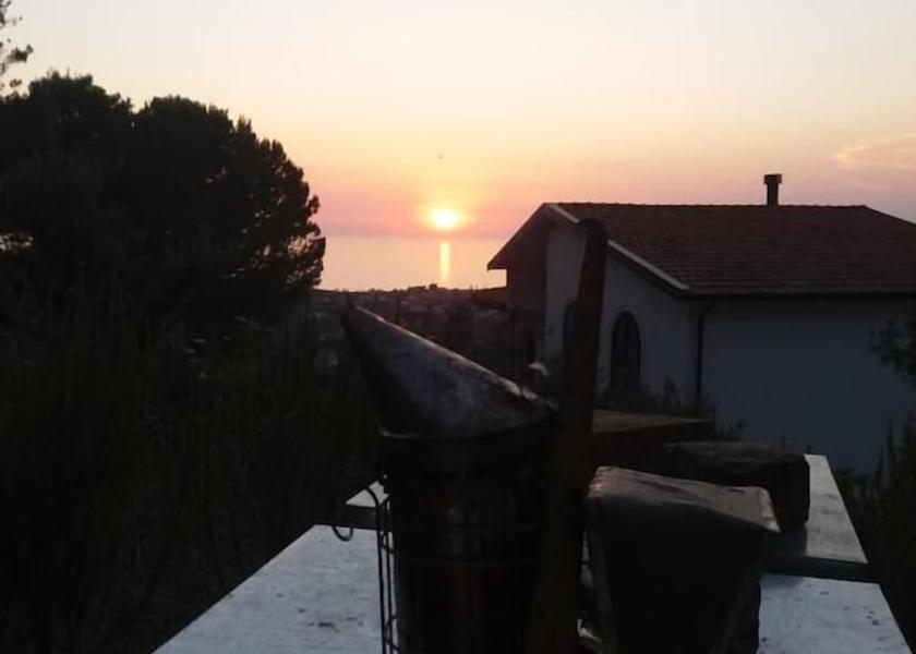 Campania Castellabate View from Property