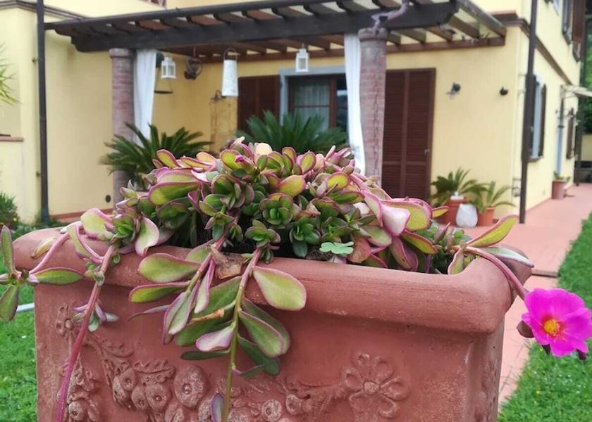 Tuscany San Giuliano Terme Garden