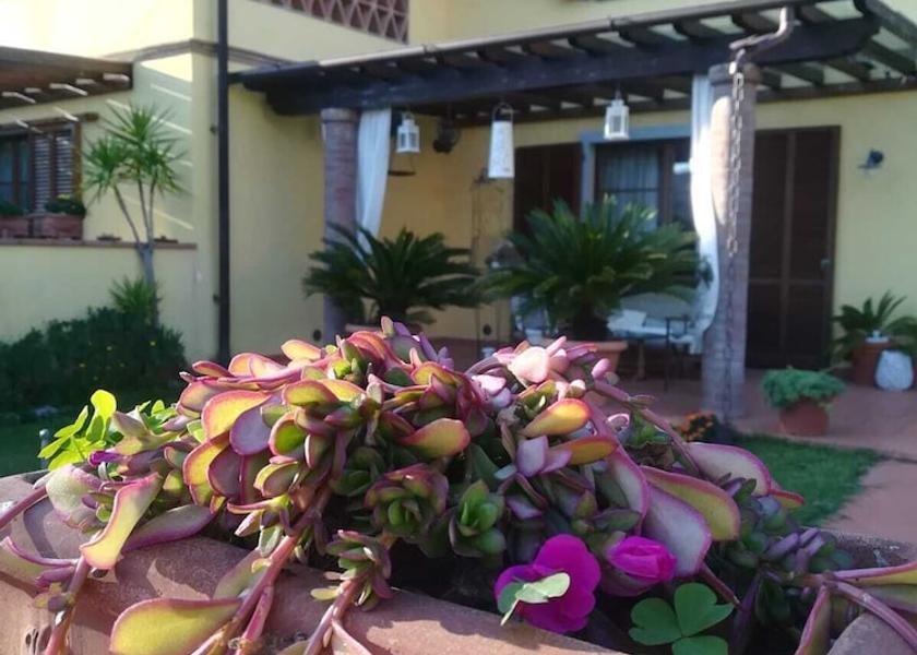 Tuscany San Giuliano Terme Primary image