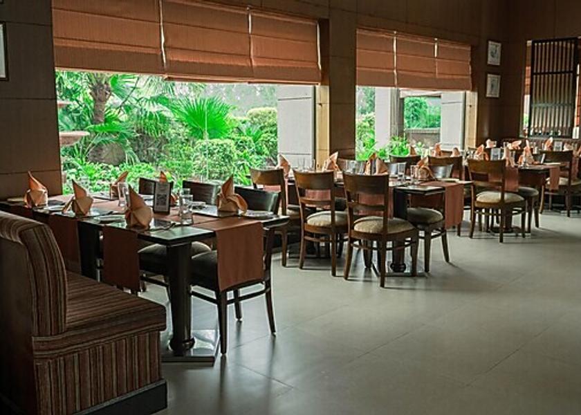 Delhi Delhi Food & Dining