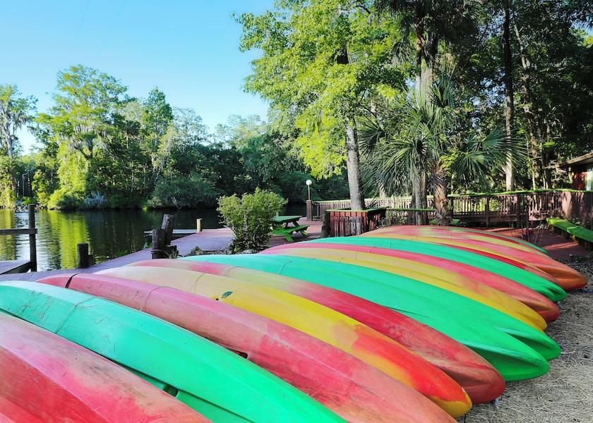 Florida Homosassa Kayaking