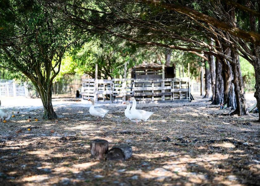 Florida Lady Lake Interior Entrance