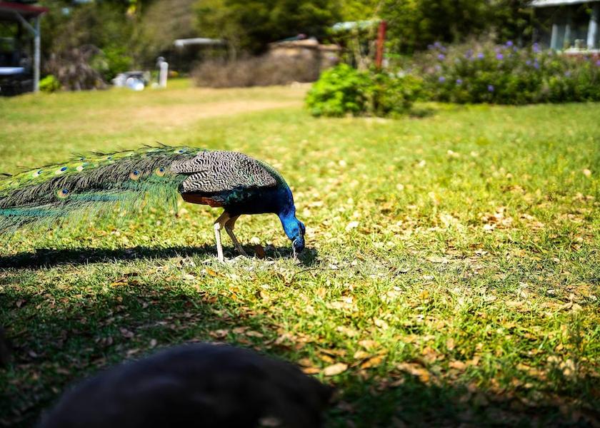 Florida Lady Lake Interior Entrance
