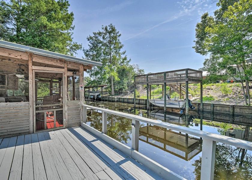 Florida Satsuma Primary image