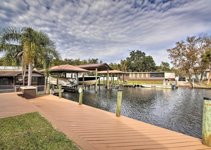 Florida Homosassa Primary image