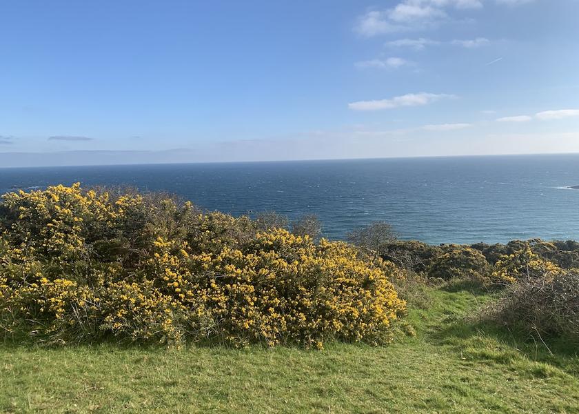 England St Austell Beach